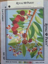 Load image into Gallery viewer, Pre-Printed Tapestry Canvasses - SPECIAL OFFER