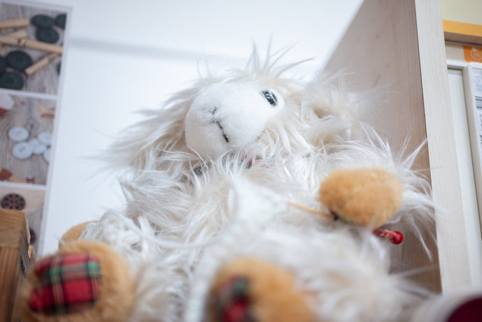 Newsletter Subscription